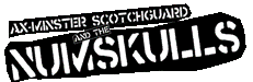Ax-minster Scotchguard (Bio)