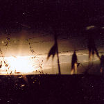 Dragonflies Draw Flame