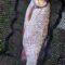 Catch photo